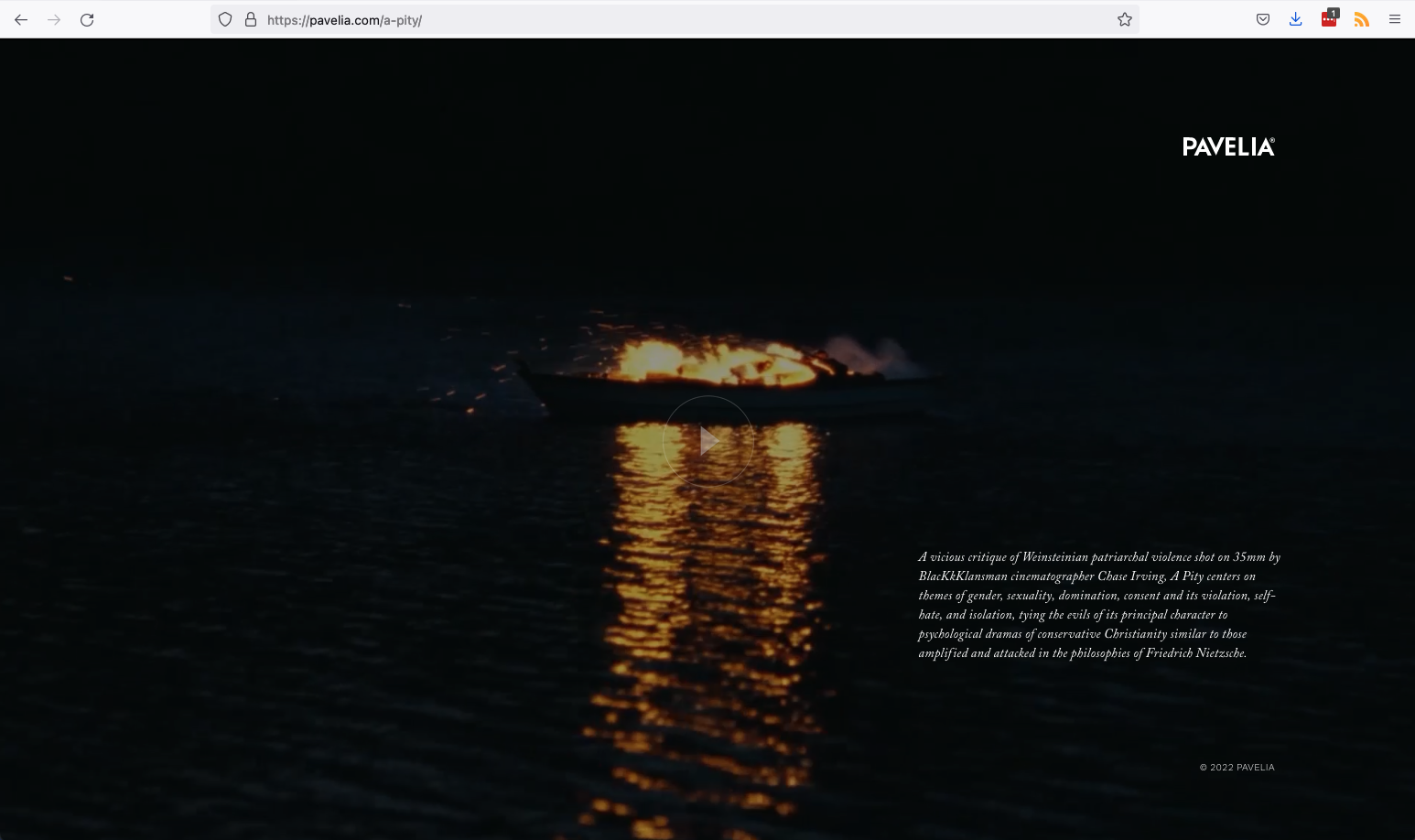 pavelia-website-development-davevsdave